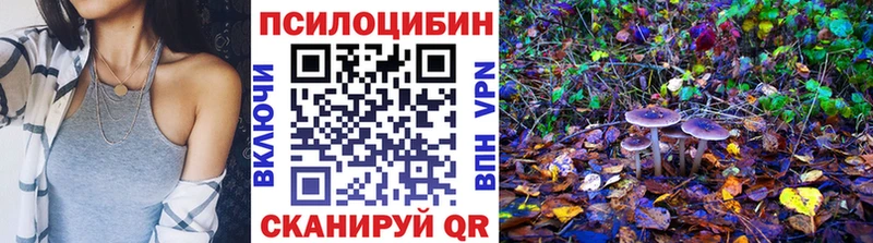ОМГ ОМГ как зайти  Великие Луки  Псилоцибиновые грибы мицелий  закладка 
